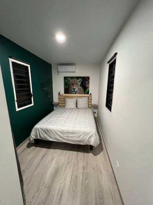 Remire-Montjoly Residence Morphee - Chaleureux Avec Jacuzzi מראה חיצוני תמונה